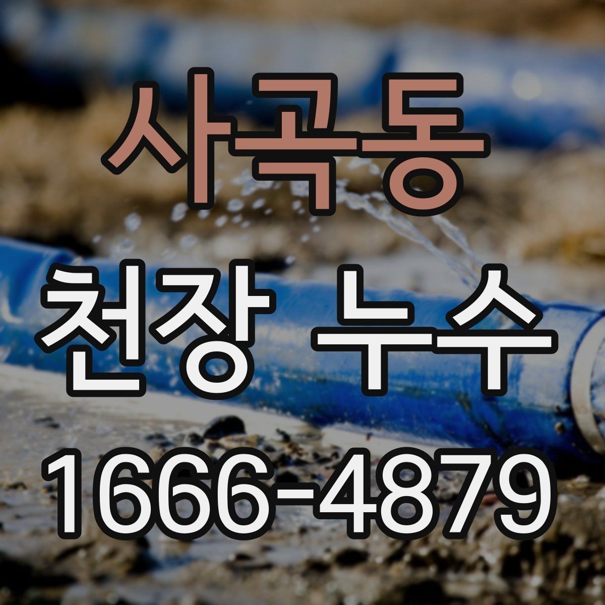 사곡동 천장 누수 천장 가까이에서 퀴퀴한 냄새가 올라올 때