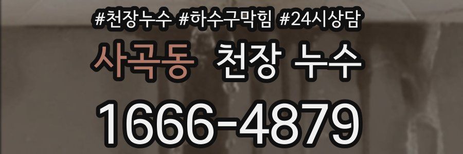 사곡동 천장 누수