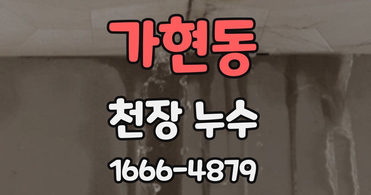 가현동 천장 누수