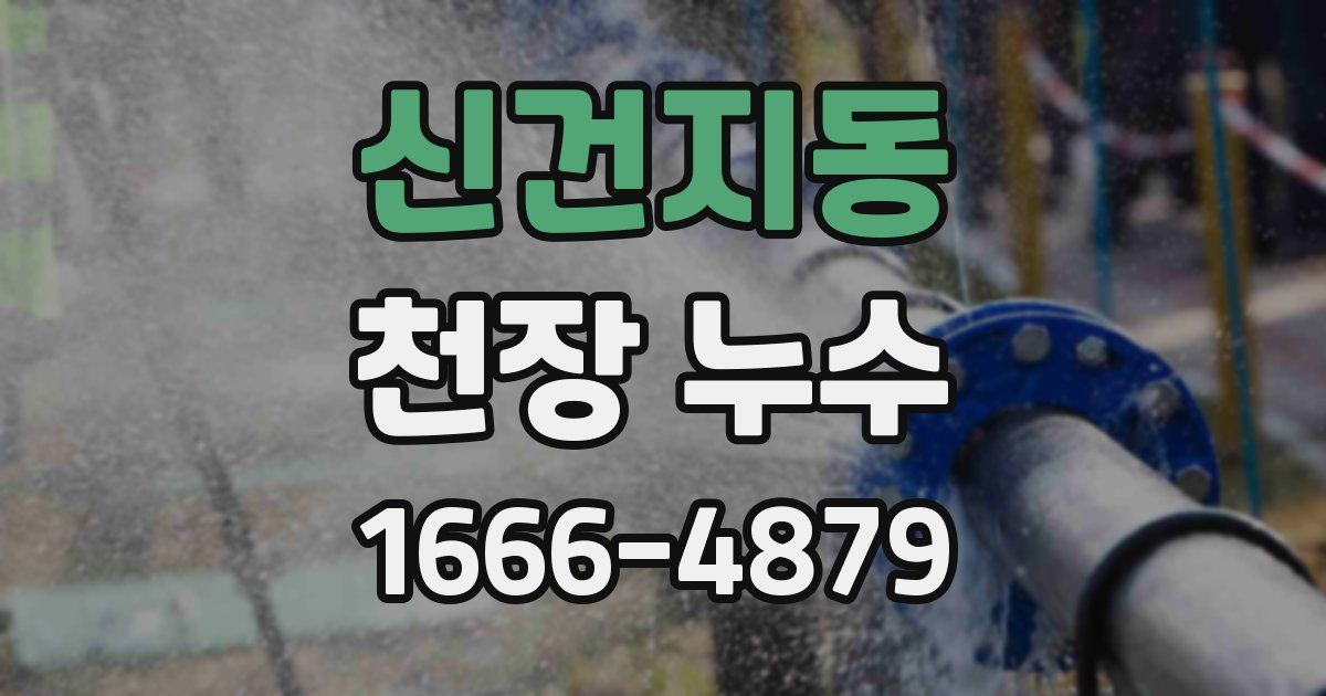 신건지동 천장 누수