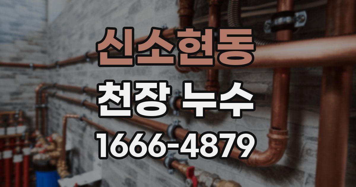 신소현동 천장 누수