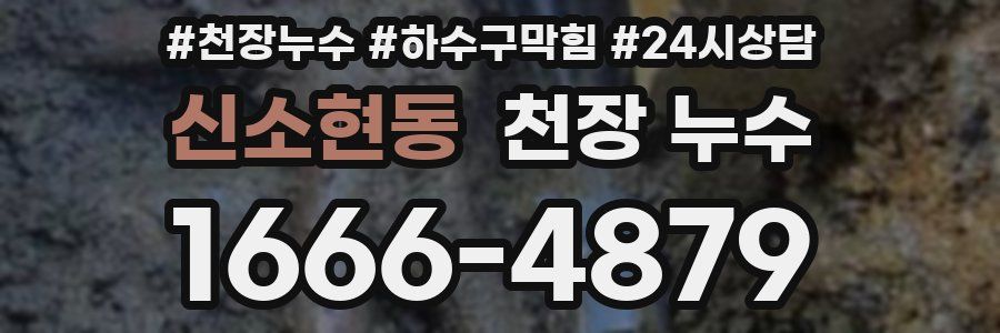 신소현동 천장 누수