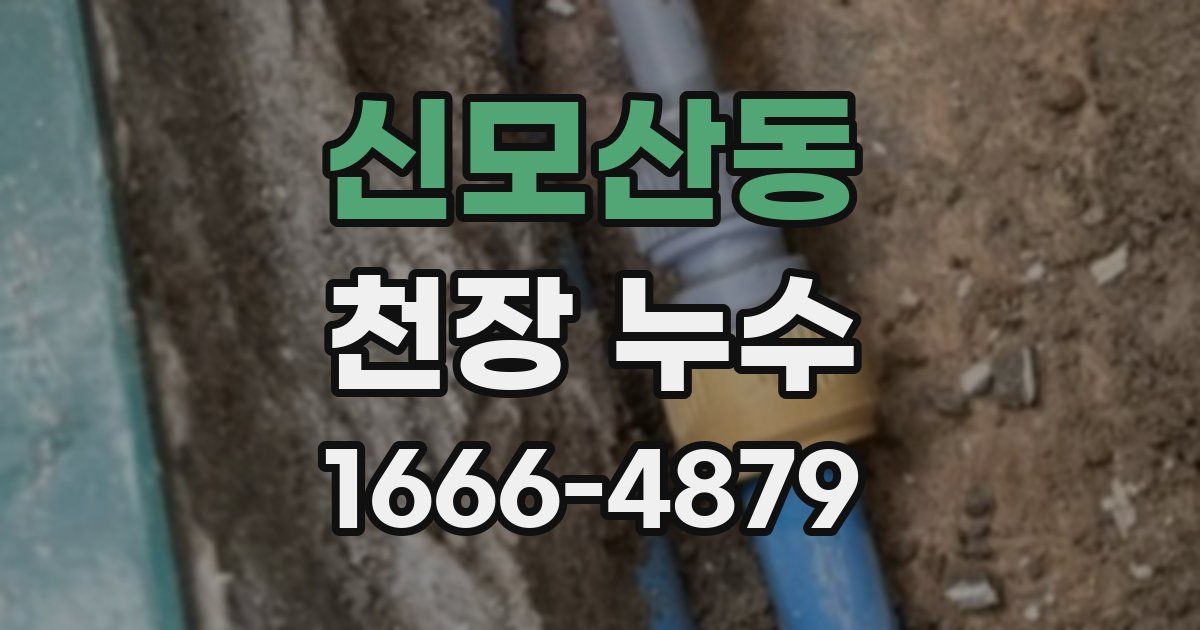 신모산동 천장 누수