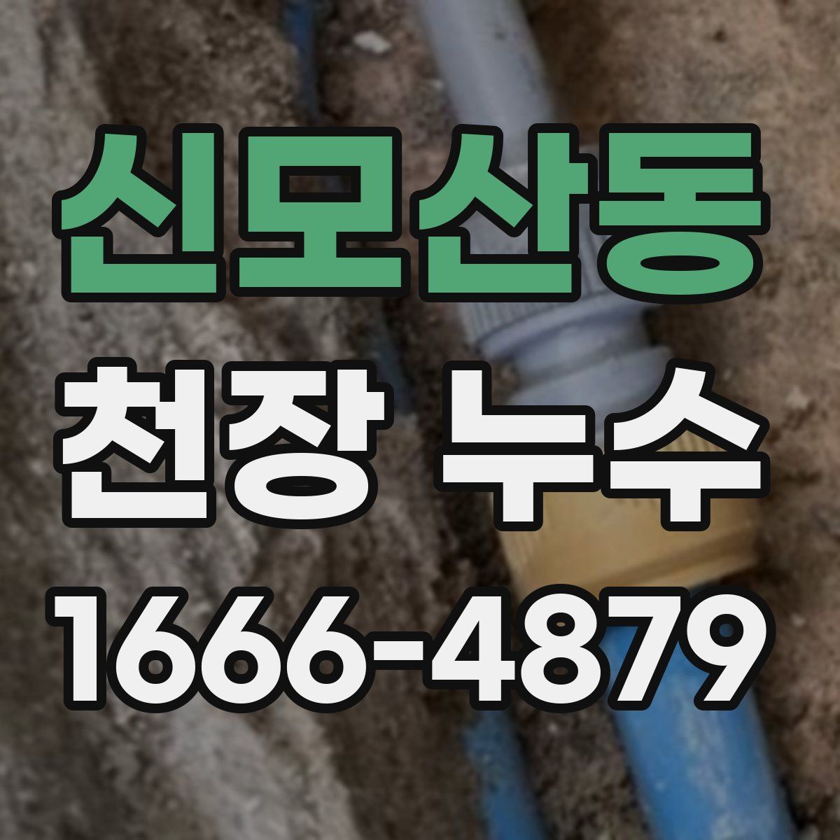 신모산동 천장 누수