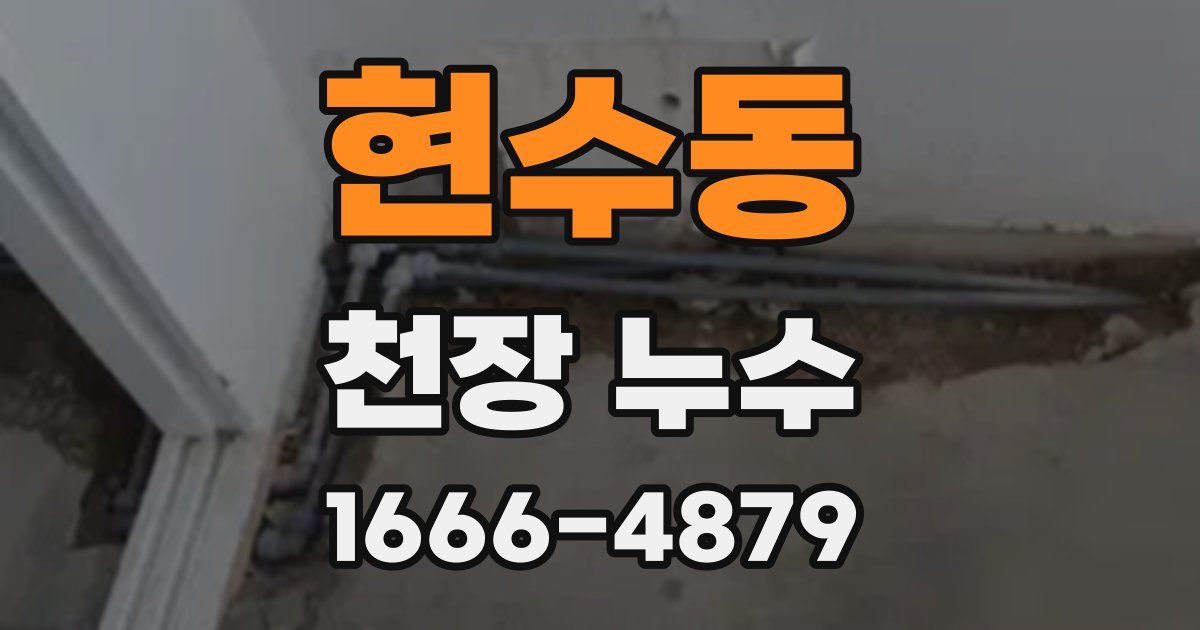 현수동 천장 누수