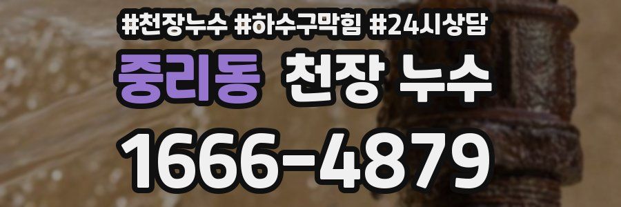 중리동 천장 누수