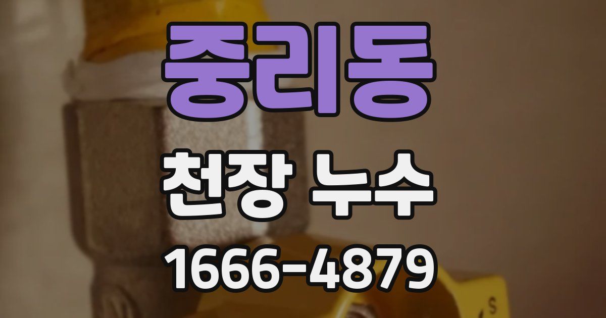 중리동 천장 누수