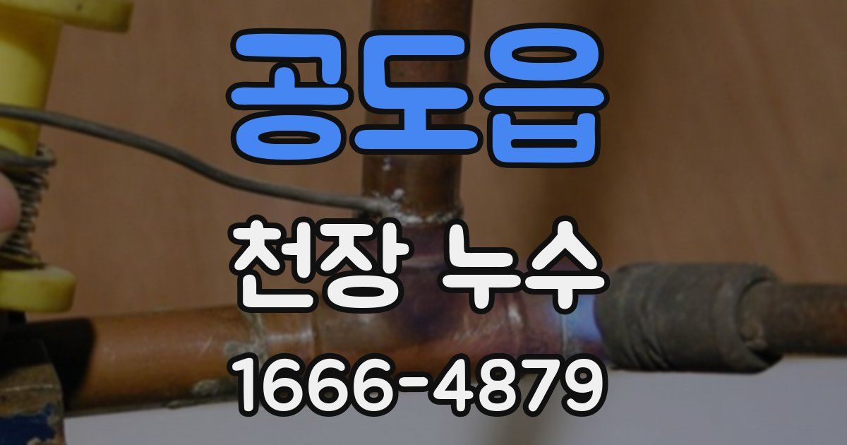 공도읍 천장 누수