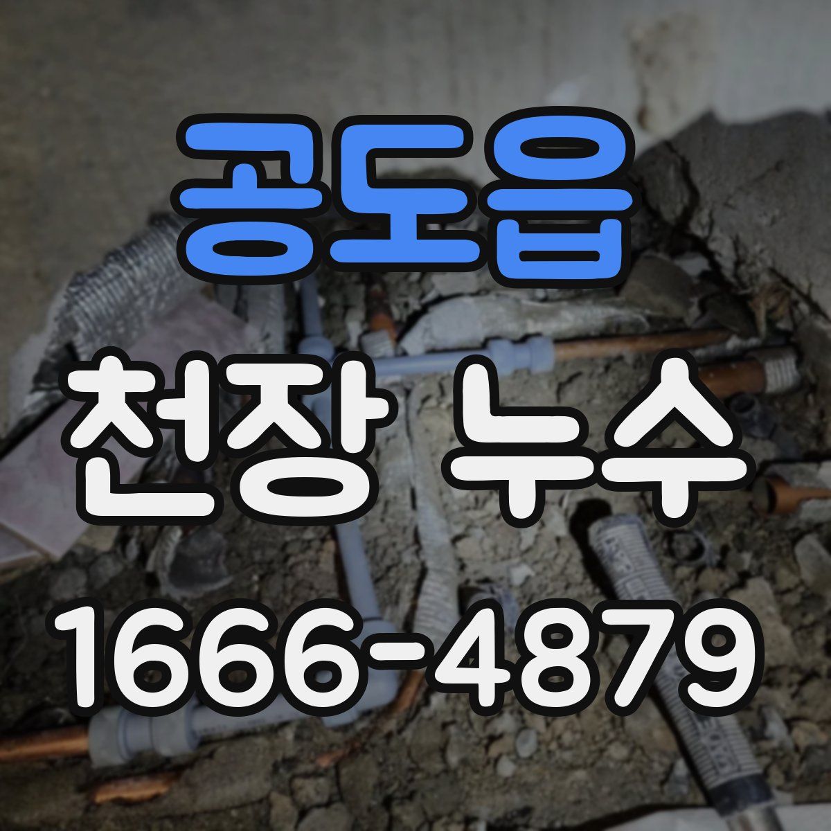 공도읍 천장 누수