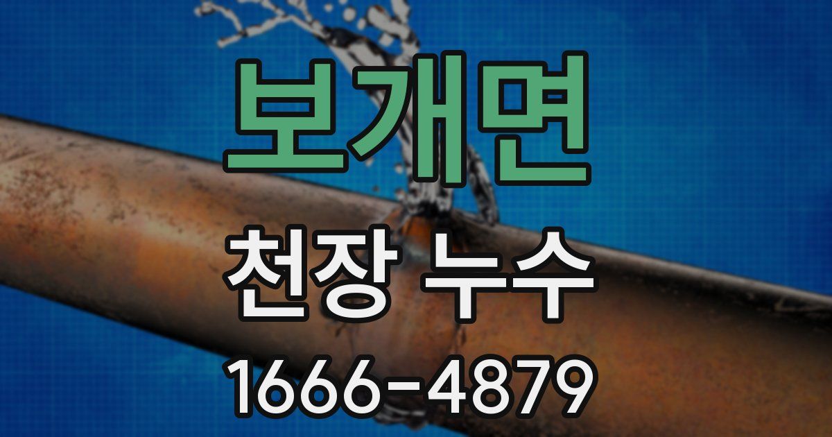 보개면 천장 누수