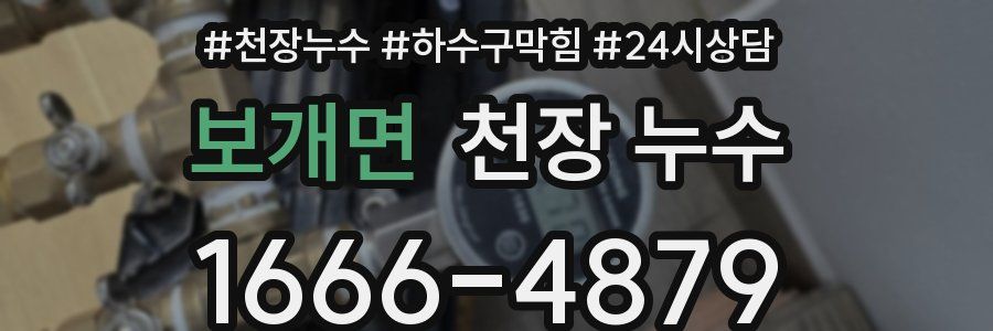보개면 천장 누수