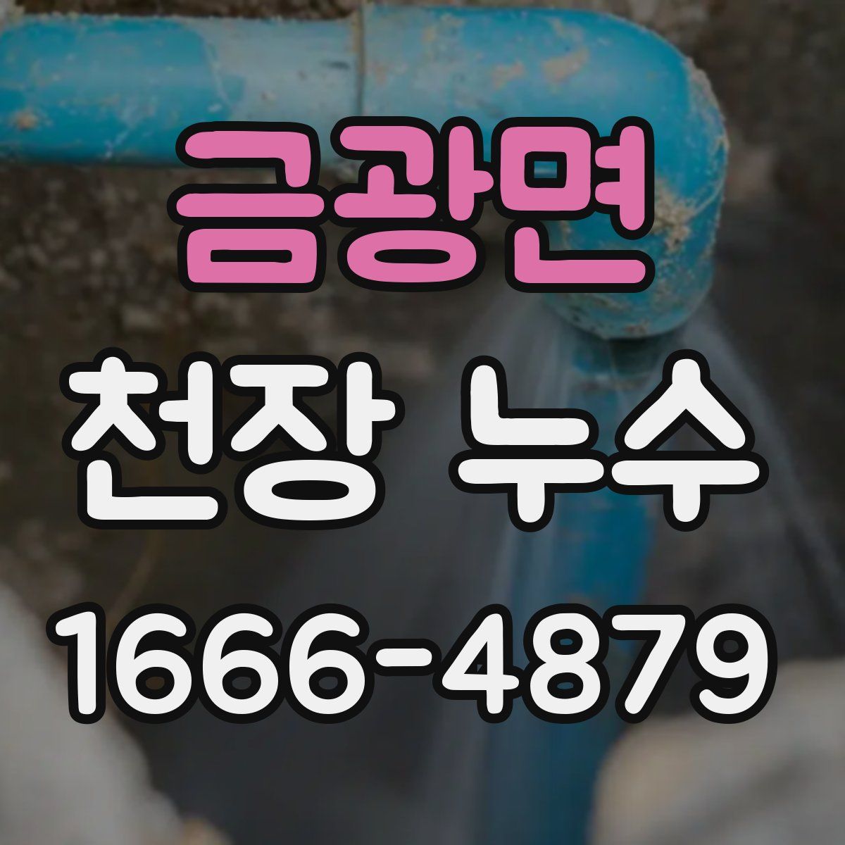 금광면 천장 누수