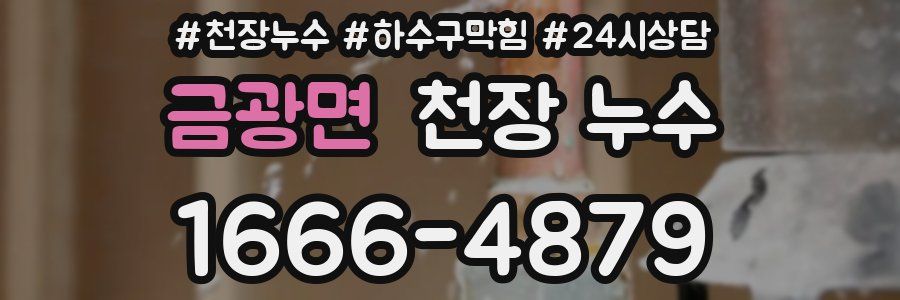 금광면 천장 누수