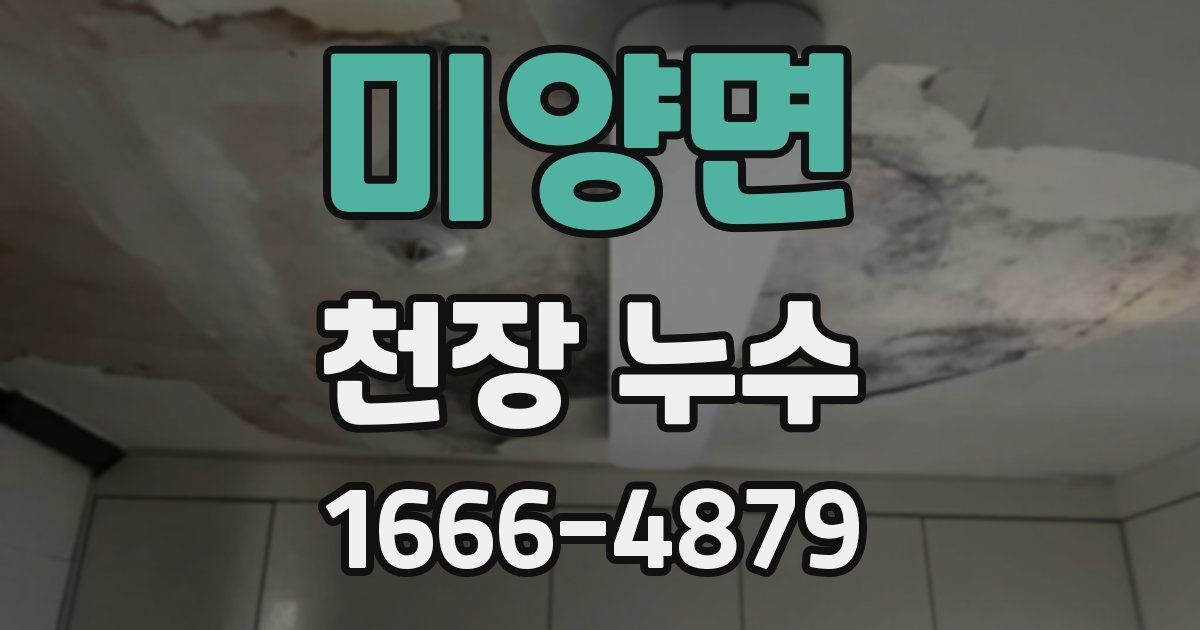 미양면 천장 누수