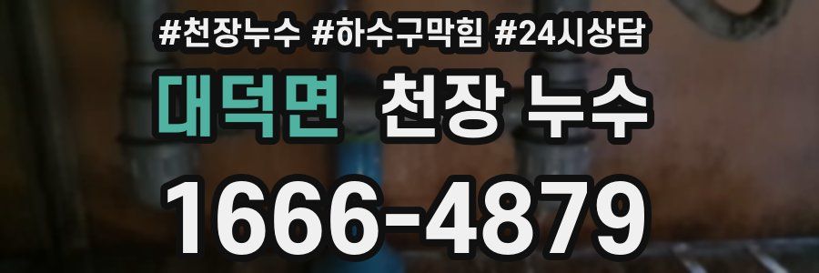 대덕면 천장 누수