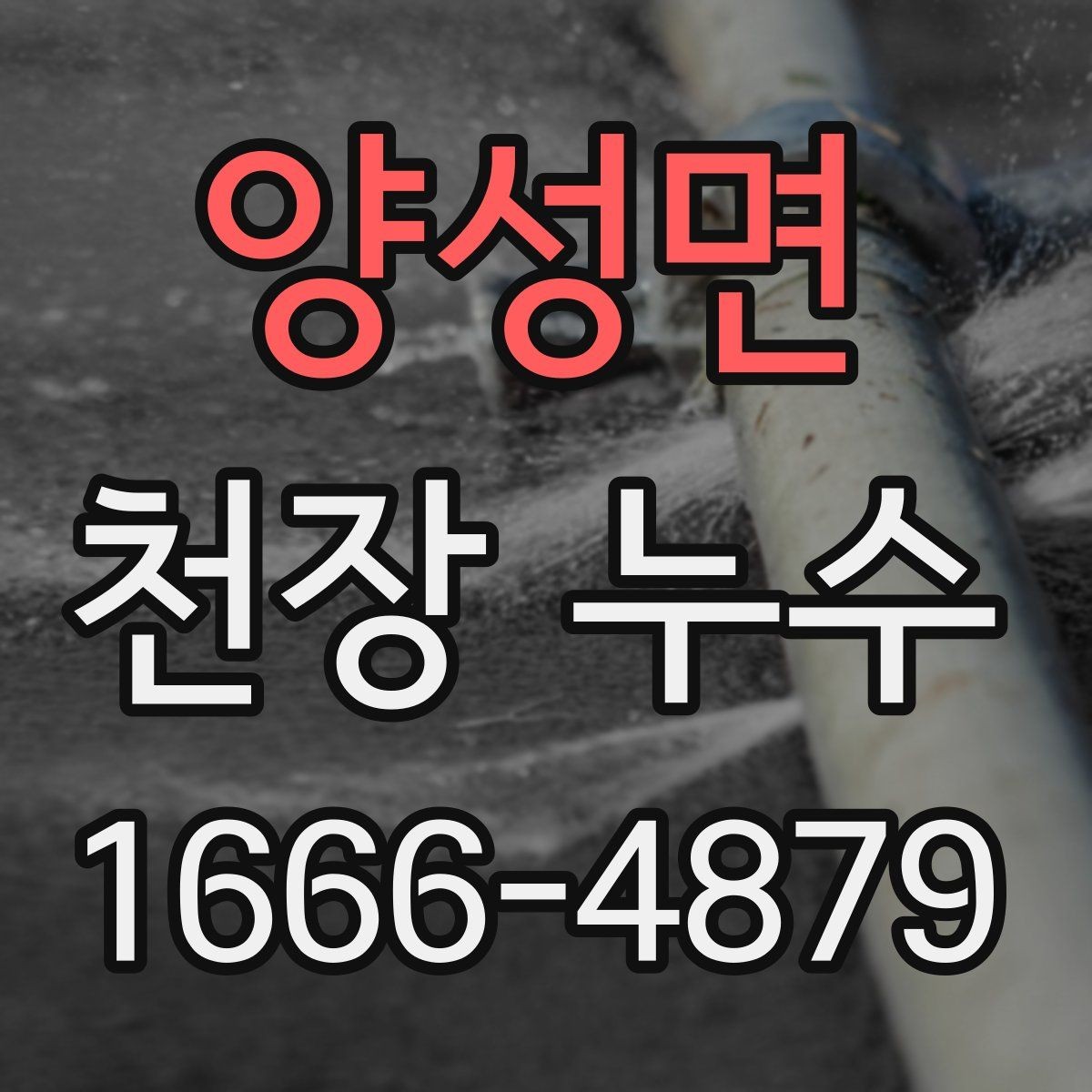 양성면 천장 누수 바닥까지 피해가 번질 때