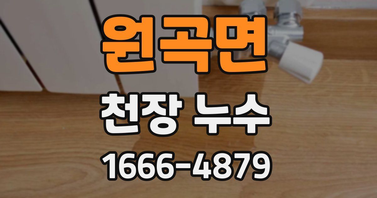 원곡면 천장 누수