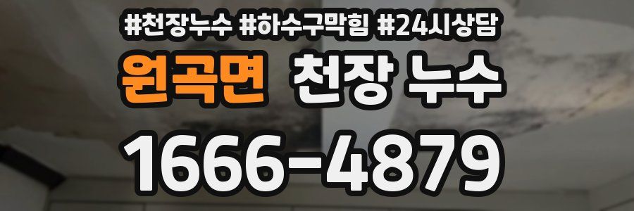 원곡면 천장 누수