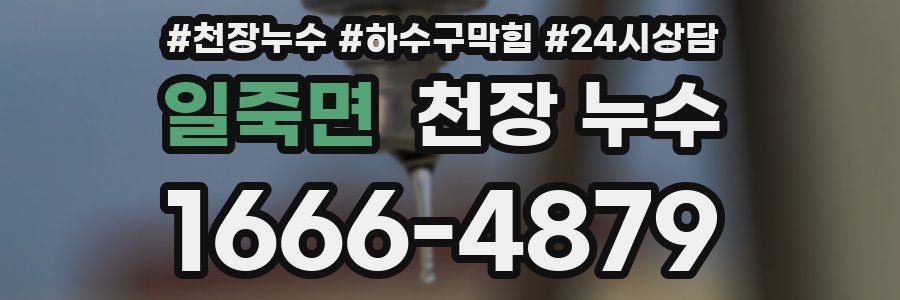 일죽면 천장 누수