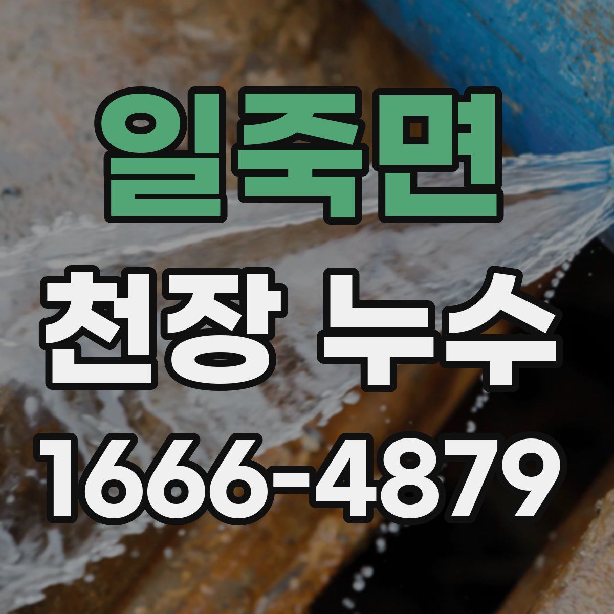 일죽면 천장 누수