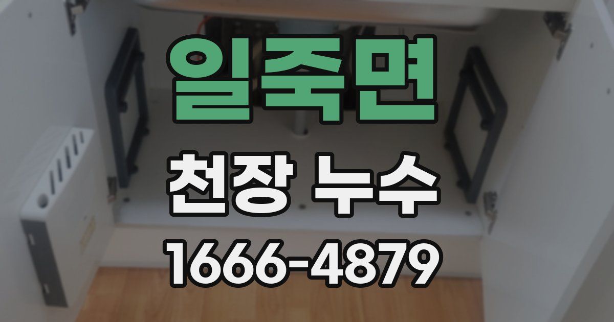 일죽면 천장 누수