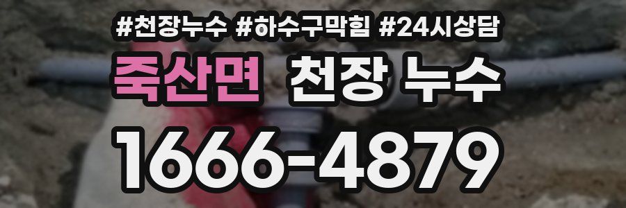 죽산면 천장 누수