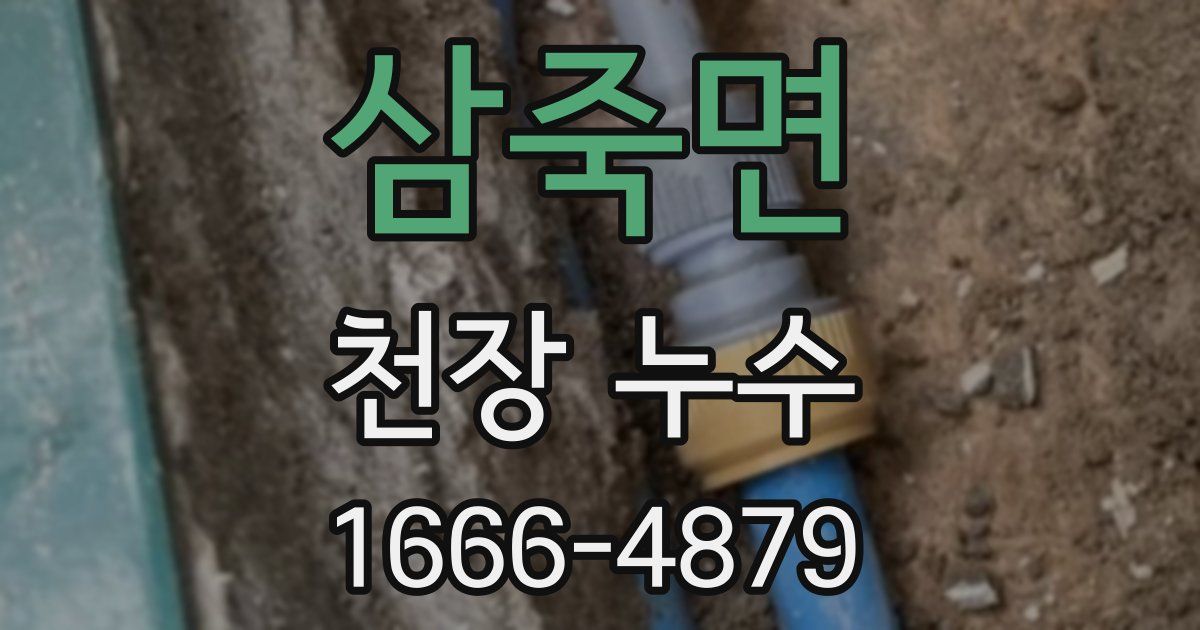 삼죽면 천장 누수