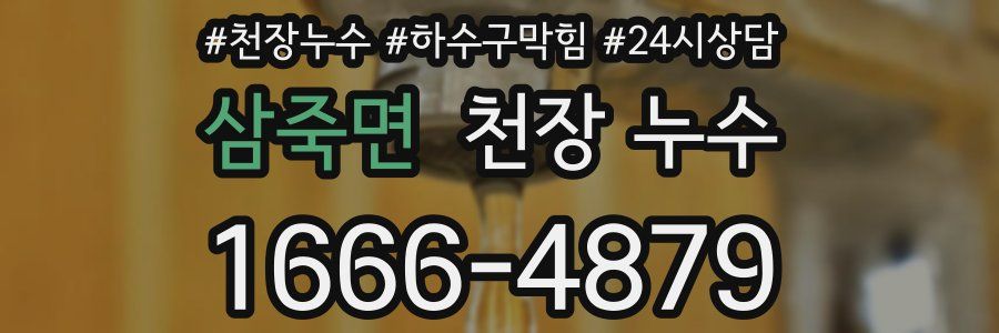 삼죽면 천장 누수