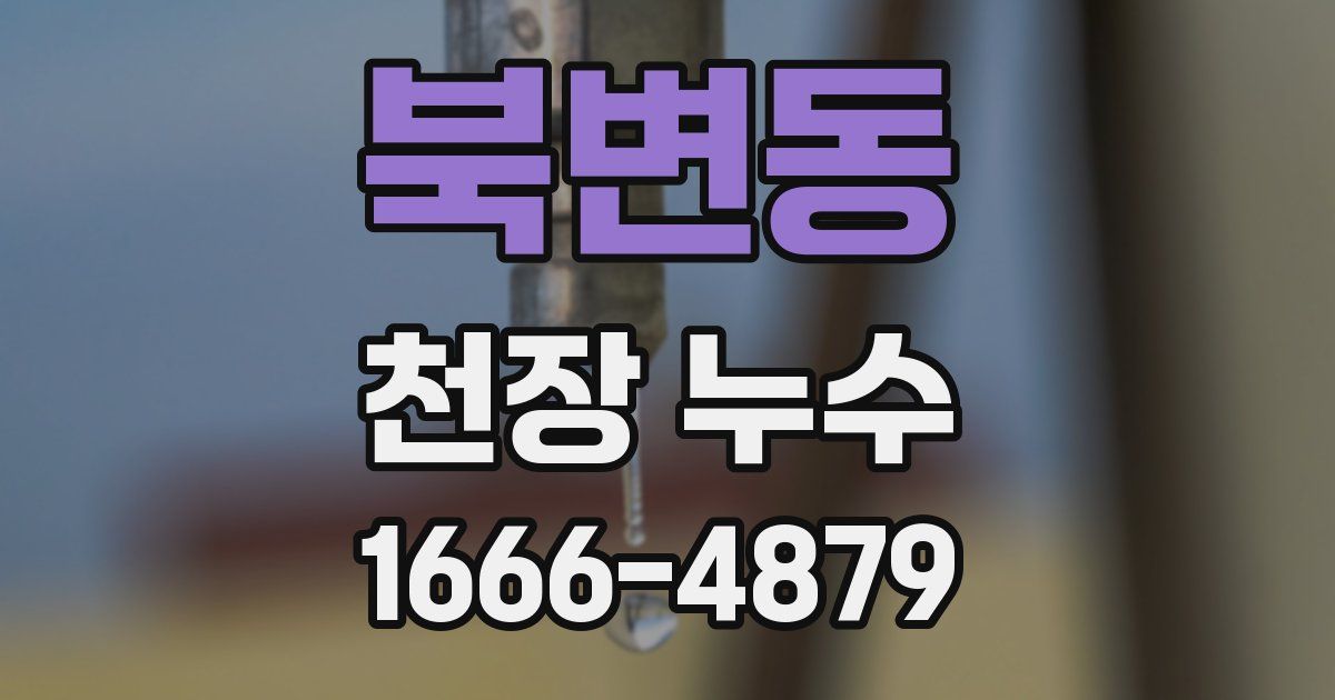 북변동 천장 누수