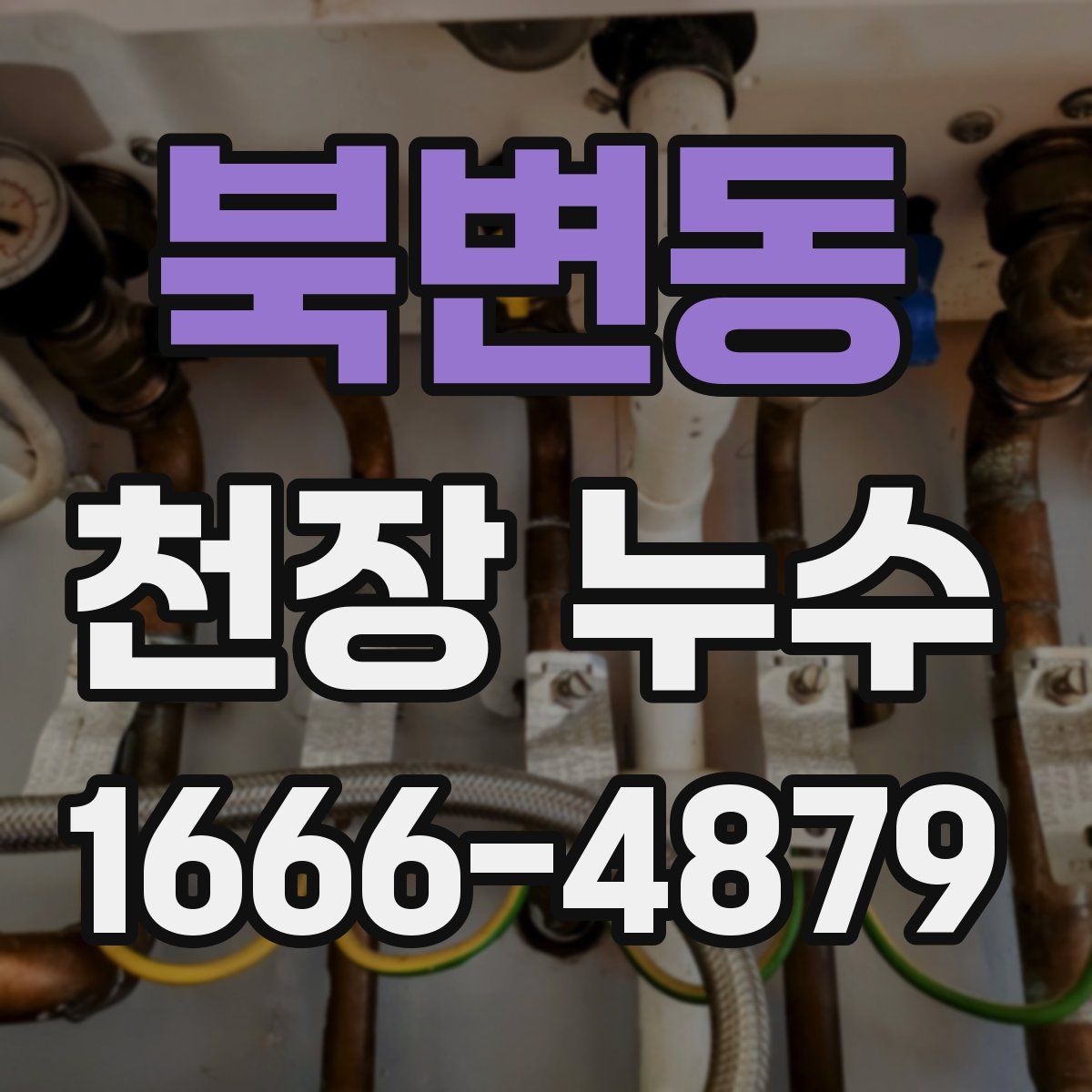 북변동 천장 누수