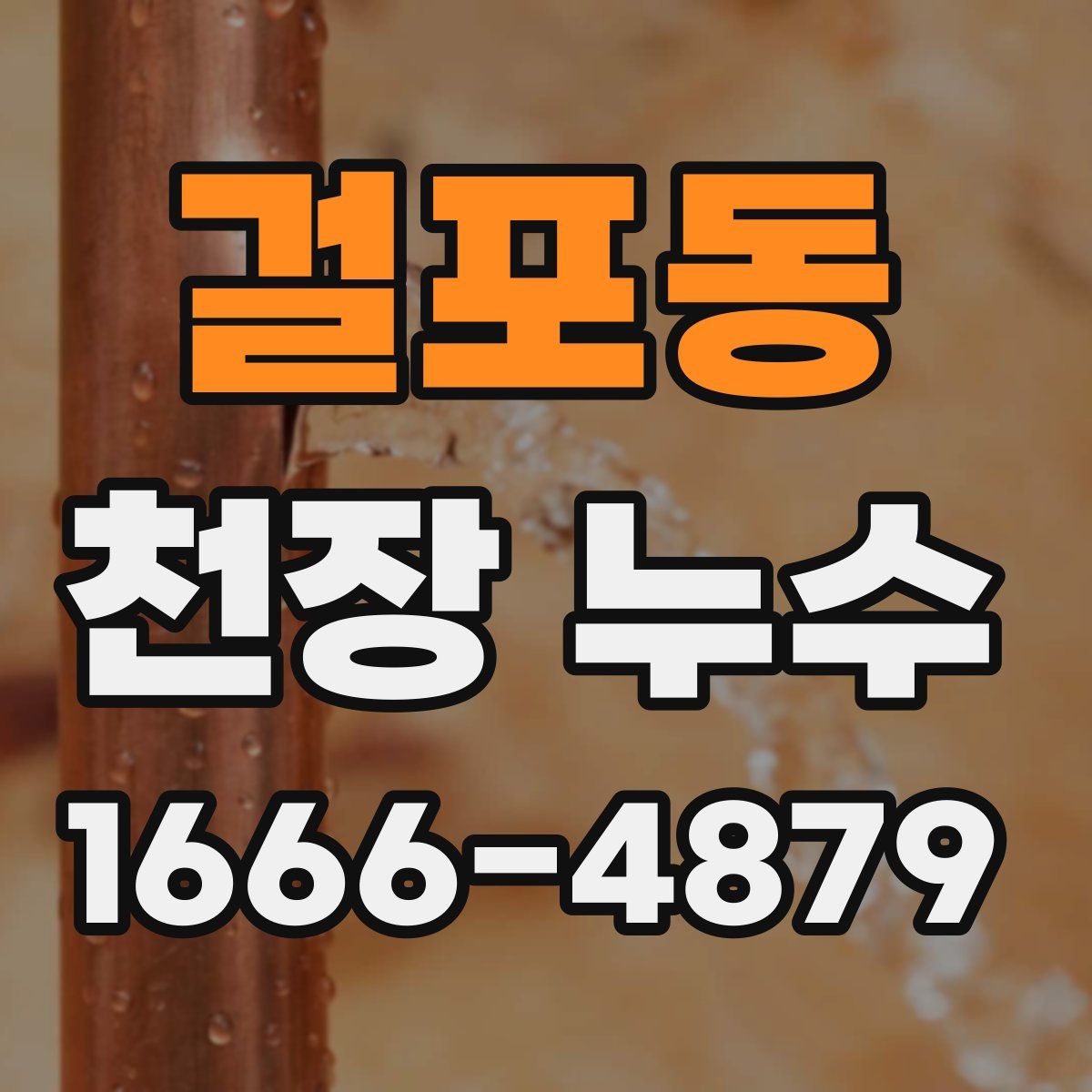 걸포동 천장 누수