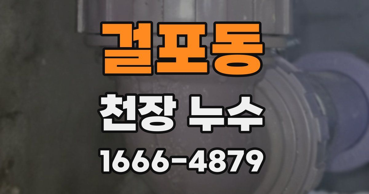 걸포동 천장 누수