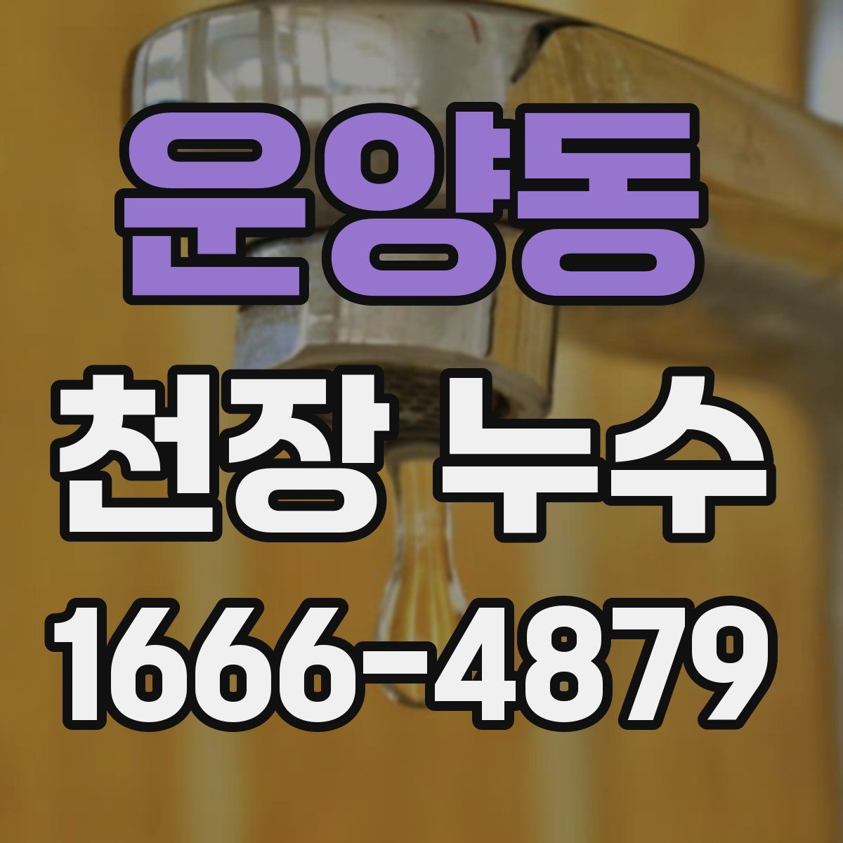 운양동 천장 누수