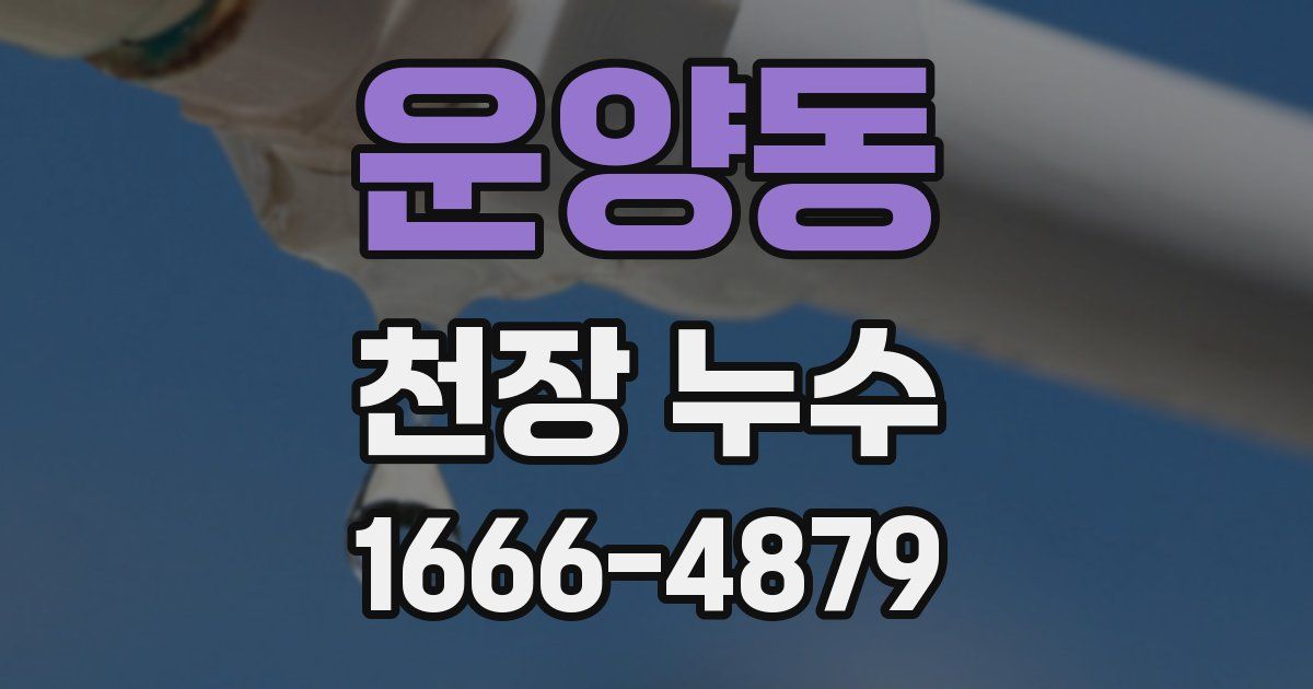 운양동 천장 누수