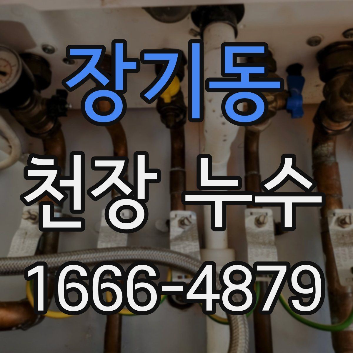 장기동 천장 누수 도배 덧대면 더 늦어질 수 있는 이유