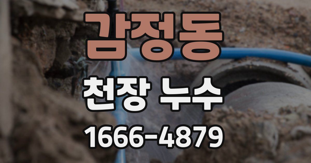 감정동 천장 누수