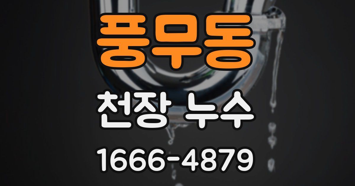 풍무동 천장 누수