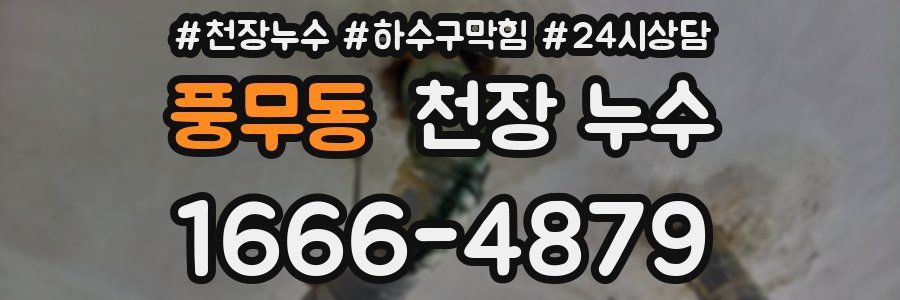 풍무동 천장 누수