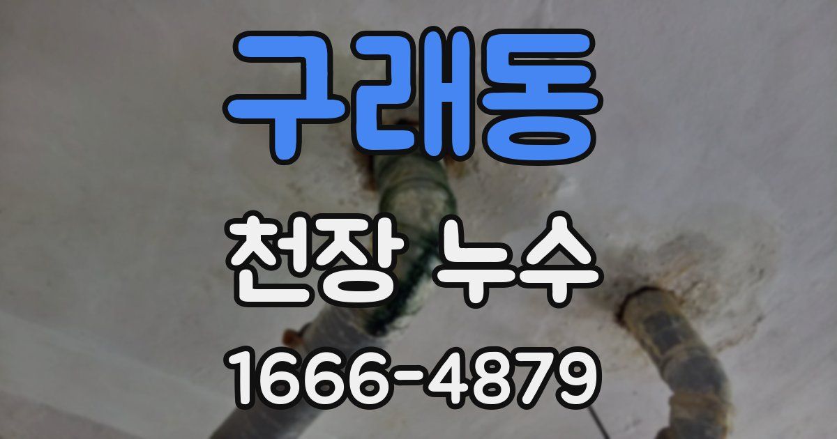 구래동 천장 누수