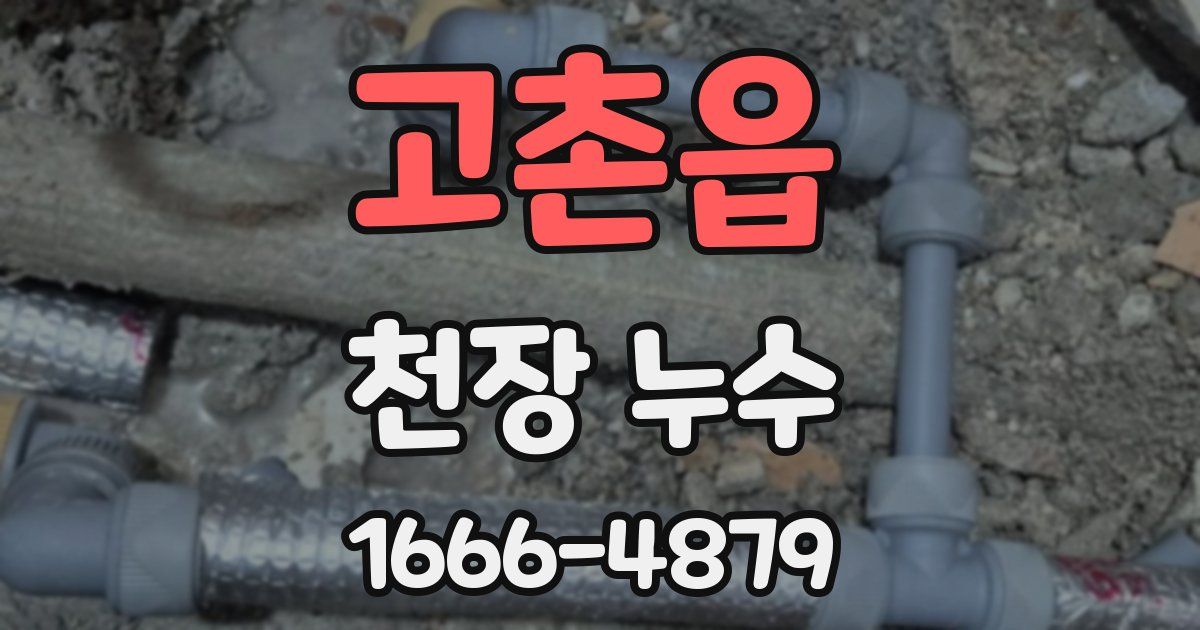 고촌읍 천장 누수