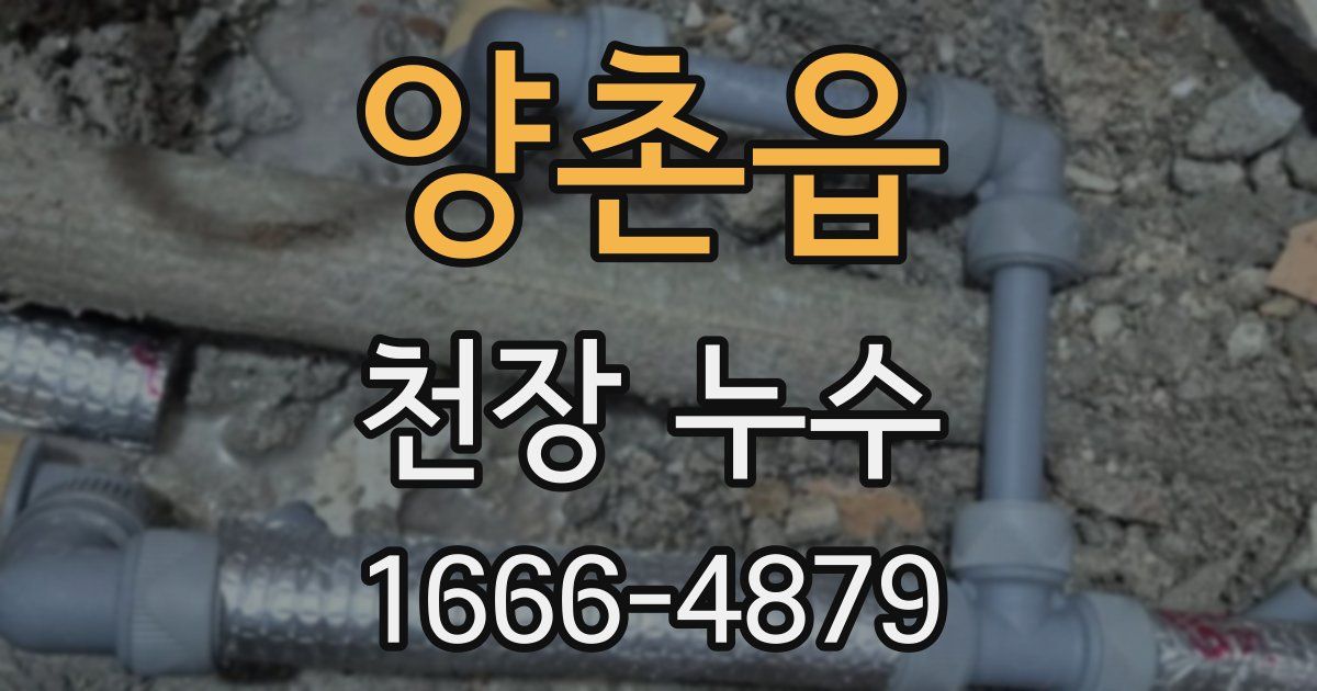 양촌읍 천장 누수