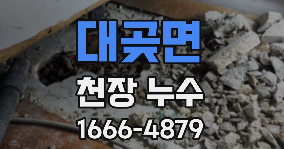 대곶면 천장 누수