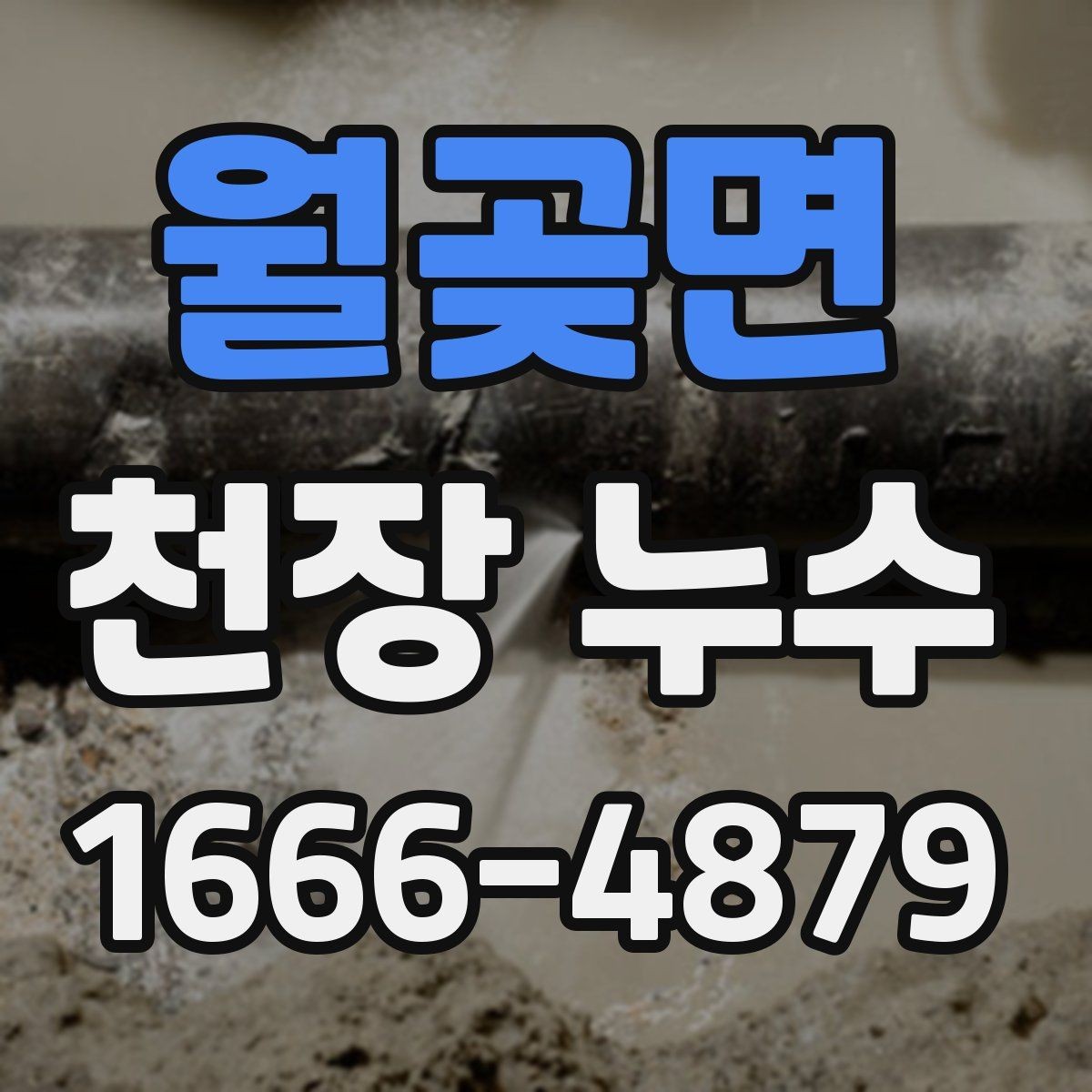 월곶면 천장 누수 장마철 천장 물자국이 생기는 집의 특징