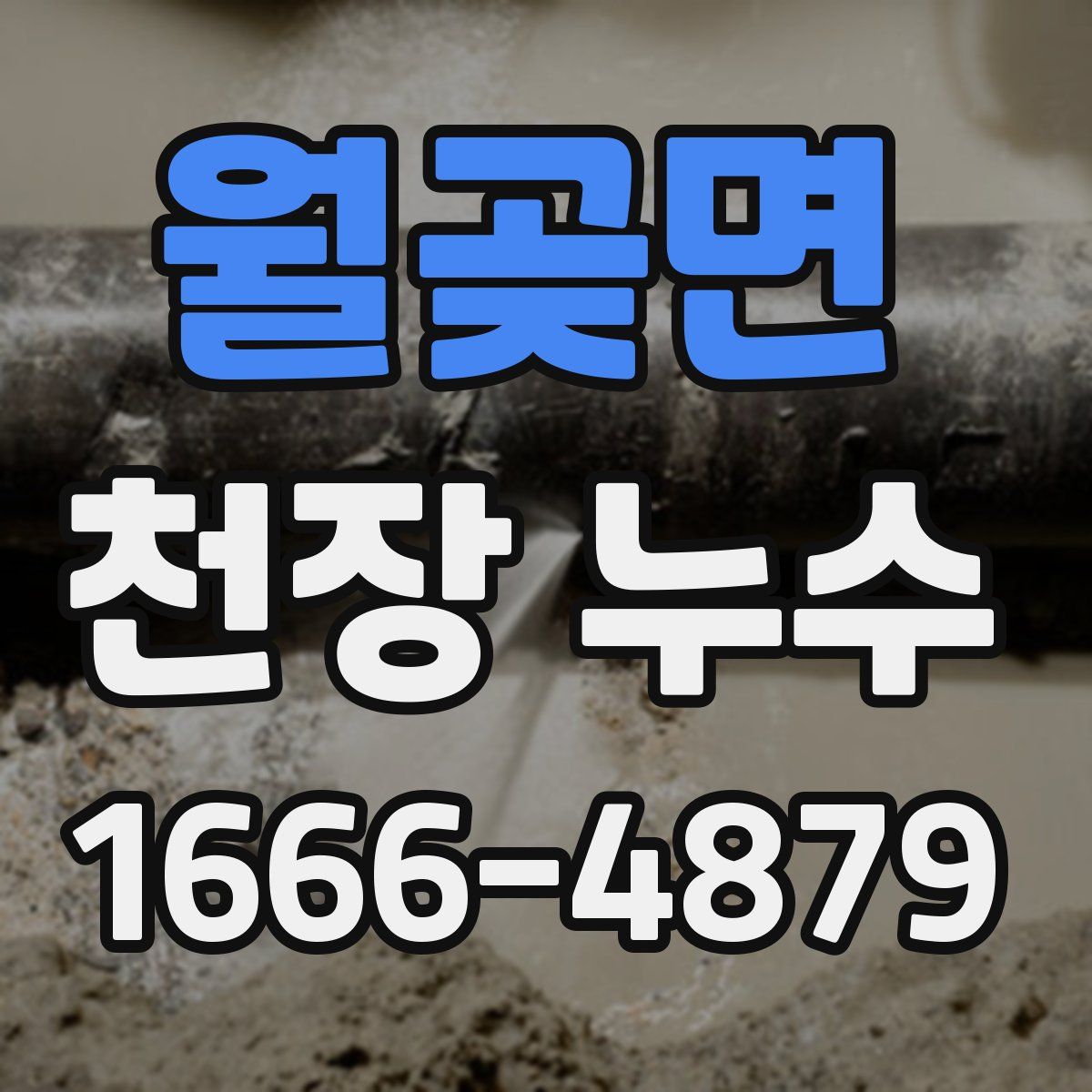 월곶면 천장 누수