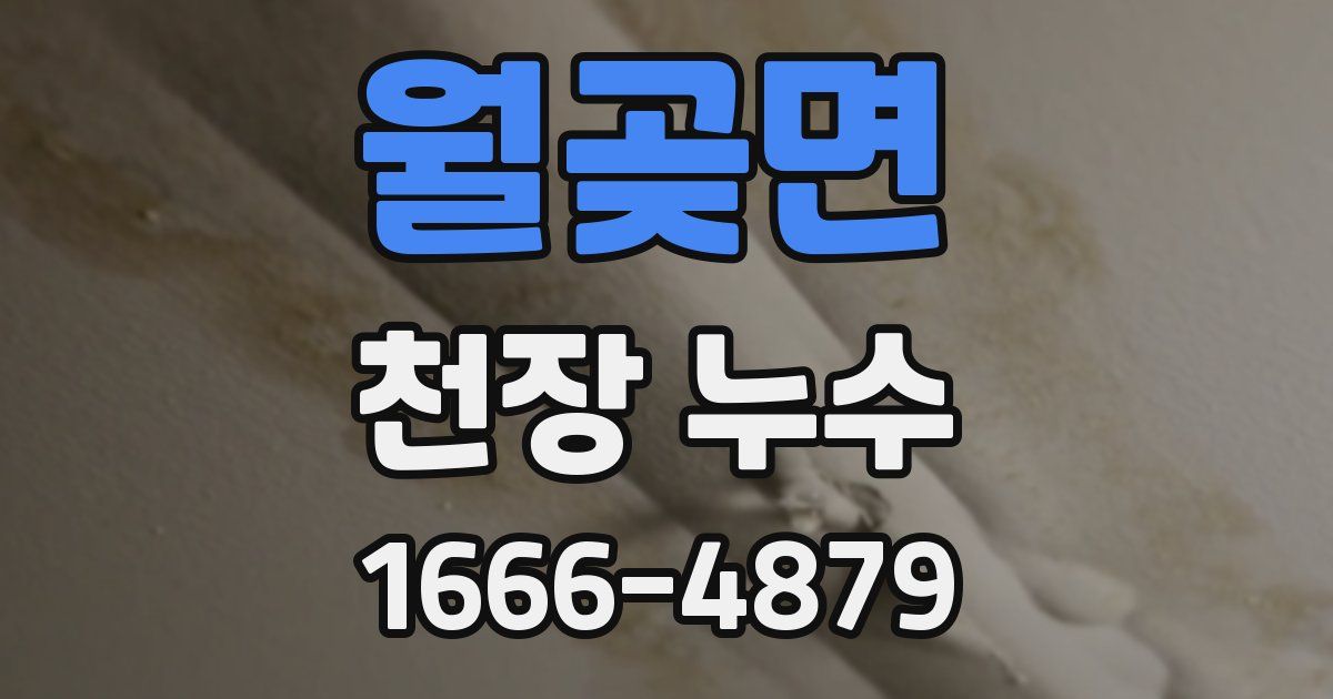 월곶면 천장 누수