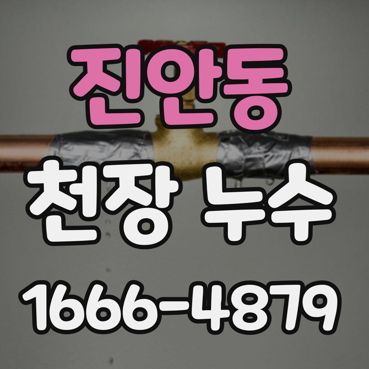 진안동 천장 누수