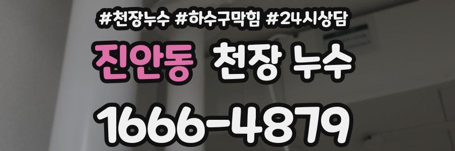 진안동 천장 누수