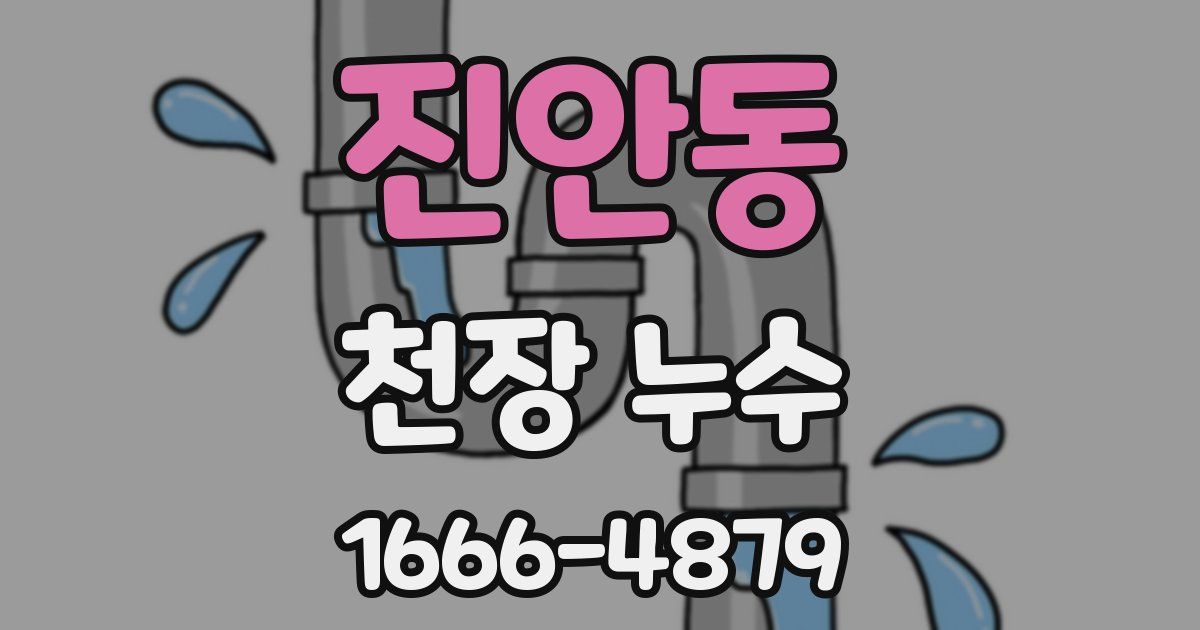 진안동 천장 누수