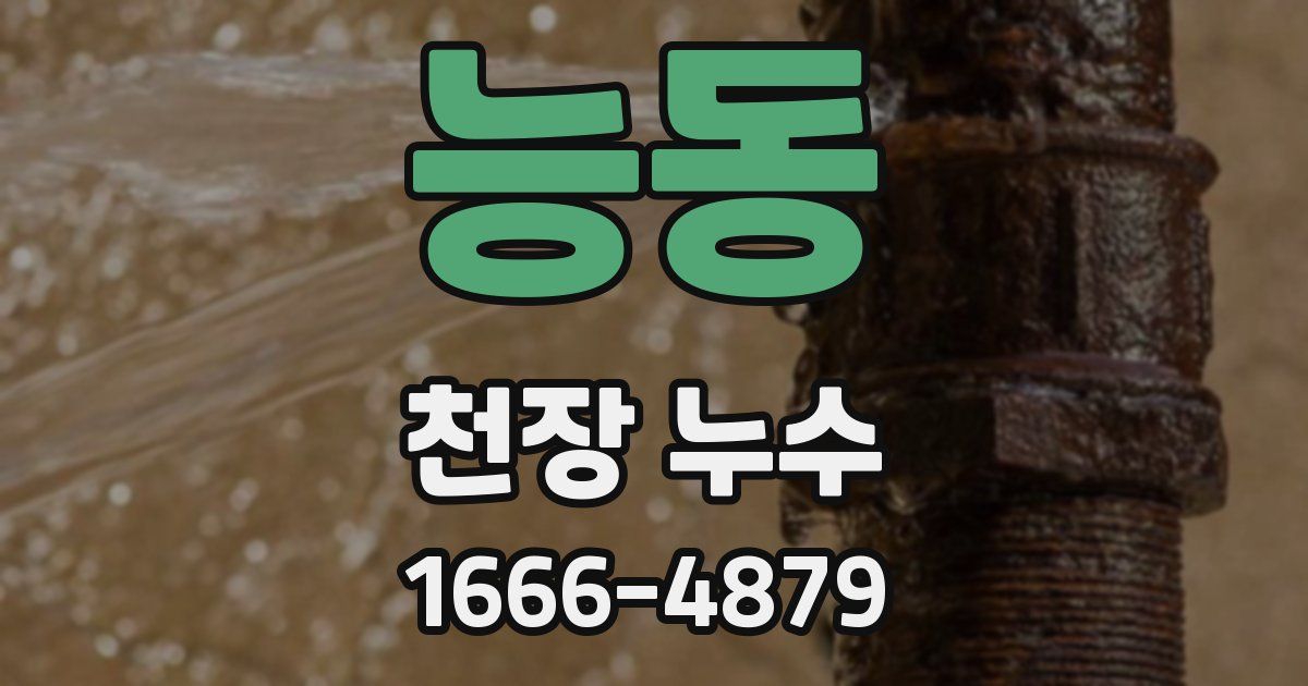 능동 천장 누수