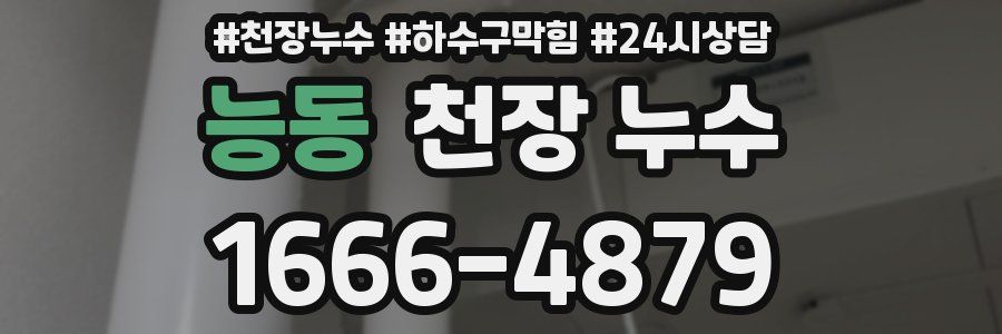 능동 천장 누수